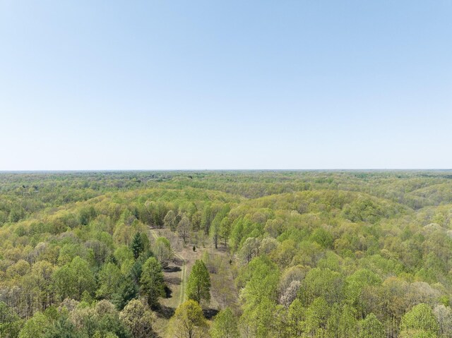 0 Smith Hollow Rd, Mount Pleasant, TN 38474 - photo 17