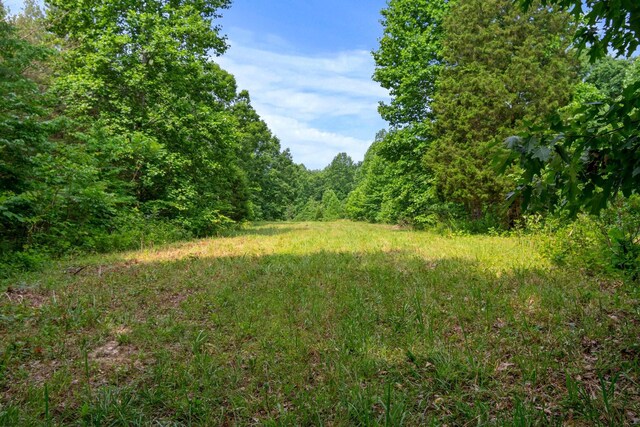 0 Smith Hollow Rd, Mount Pleasant, TN 38474 - photo 12