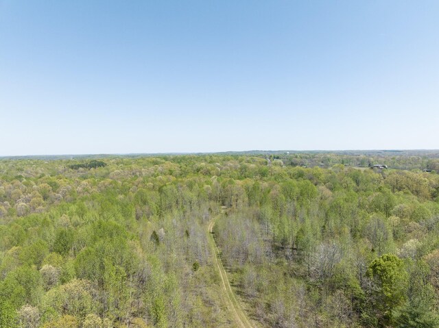 0 Smith Hollow Rd, Mount Pleasant, TN 38474 - photo 26
