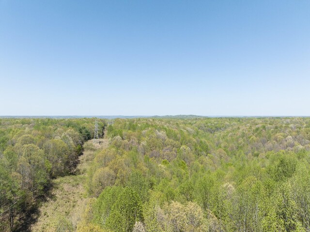 0 Smith Hollow Rd, Mount Pleasant, TN 38474 - photo 27