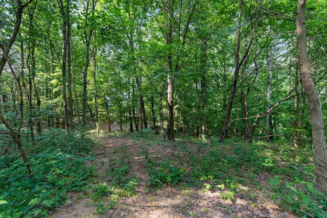 0 Smith Hollow Rd, Mount Pleasant, TN 38474 - photo 13