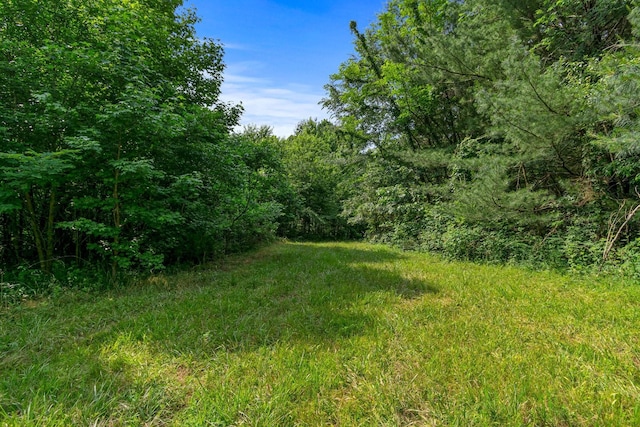 0 Smith Hollow Rd, Mount Pleasant, TN 38474 - photo 1