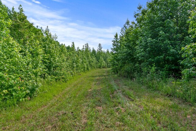 0 Smith Hollow Rd, Mount Pleasant, TN 38474 - photo 7