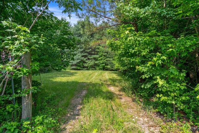 0 Smith Hollow Rd, Mount Pleasant, TN 38474 - photo 8
