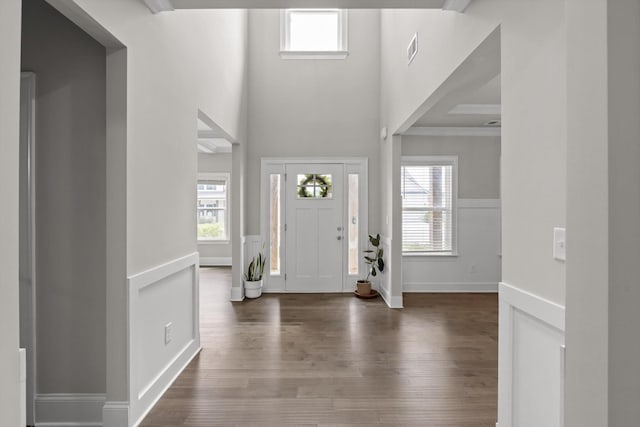10787 Prairie Lake Dr, Apison, TN 37302 - entryway with wood finished floors, plenty of natural light, and a towering ceiling