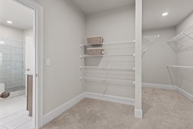 10787 Prairie Lake Dr, Apison, TN 37302 - spacious closet featuring carpet