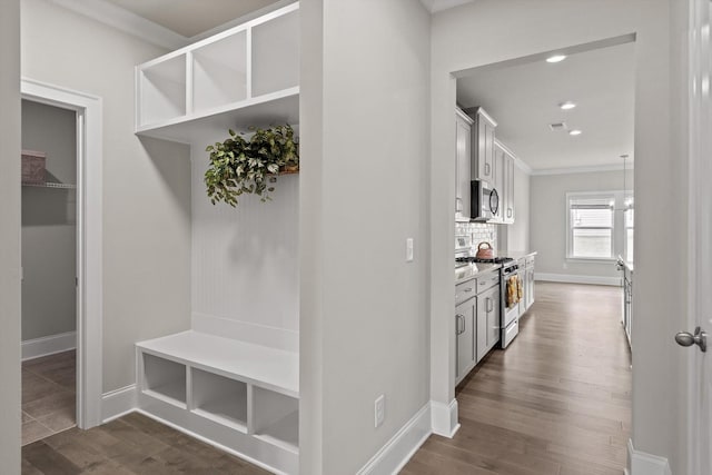 10787 Prairie Lake Dr, Apison, TN 37302 - mudroom featuring ornamental molding, dark wood-style floors, and recessed lighting