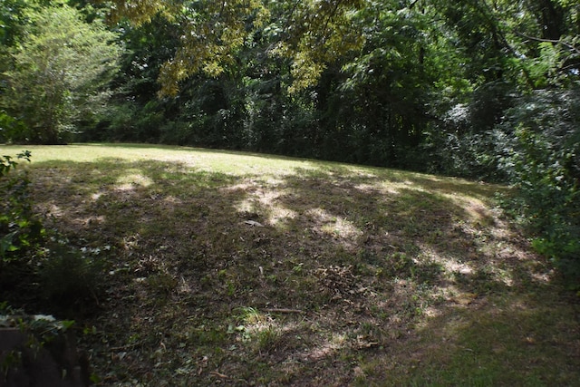 141 Maple St, Linden, TN 37096 - photo 13
