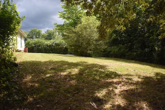 141 Maple St, Linden, TN 37096 - photo 11
