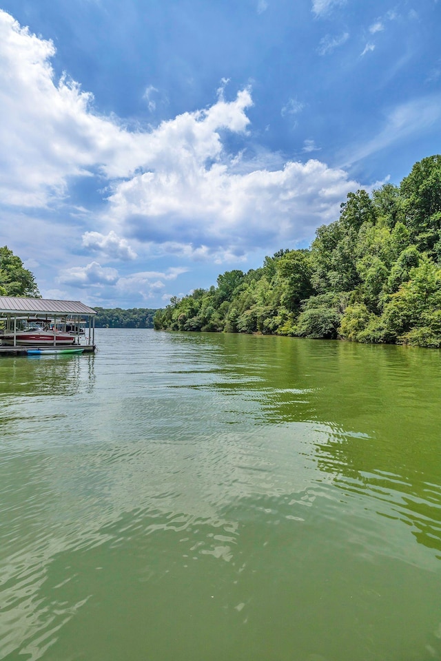 36 Chestnut St, Estill Springs, TN 37330 - photo 45