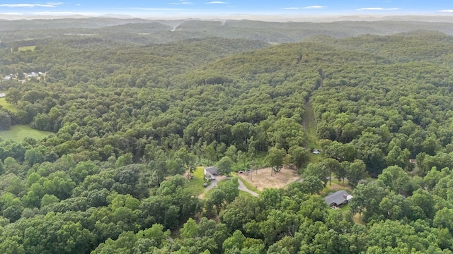 35 Magnolia Ln, Normandy, TN 37360 - photo 9