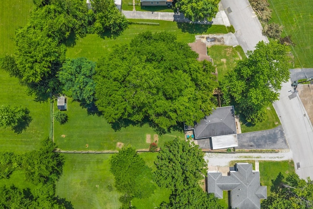 2626 Kenwood Dr, Hopkinsville, KY 42240 - photo 31