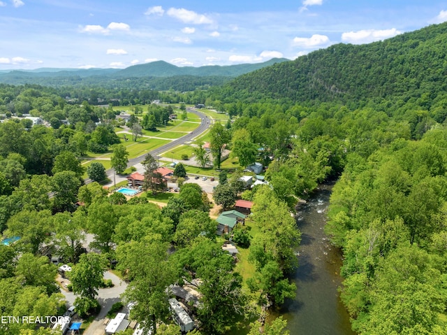 8513 E Lamar Alexander Pkwy, Townsend, TN 37882 - photo 33