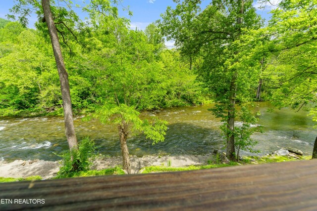 8513 E Lamar Alexander Pkwy, Townsend, TN 37882 - photo 28
