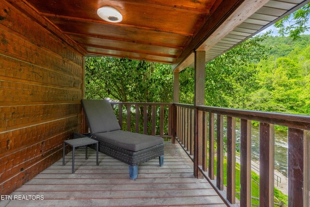 8513 E Lamar Alexander Pkwy, Townsend, TN 37882 - photo 25
