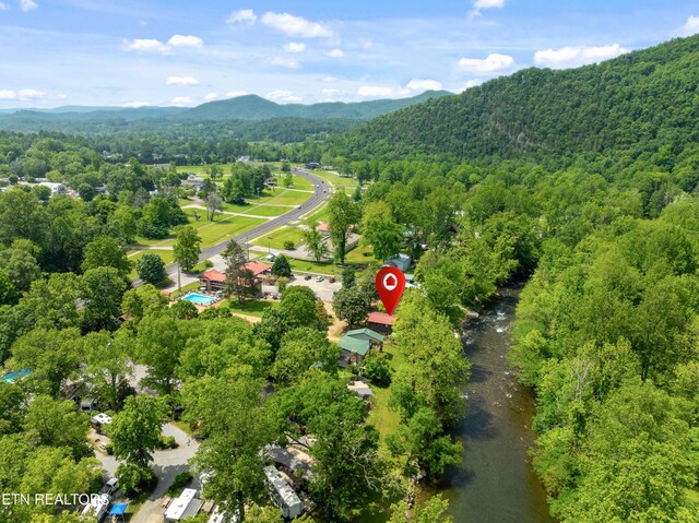 8513 E Lamar Alexander Pkwy, Townsend, TN 37882 - photo 32