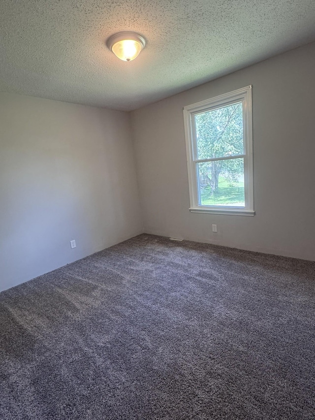 236 Raintree Dr, Clarksville, TN 37042 - photo 10