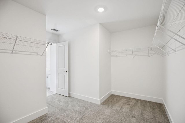 1341 Beasley Blvd, Mount Juliet, TN 37122 - photo 68