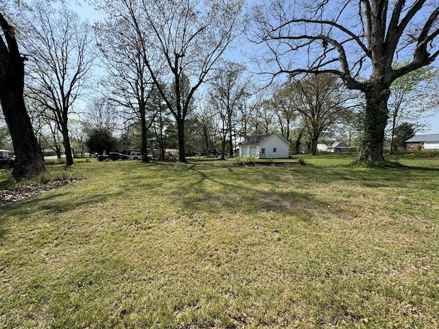 440 Church St, White Bluff, TN 37187 - photo 5