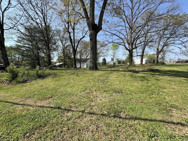 440 Church St, White Bluff, TN 37187 - photo 3