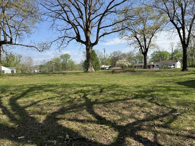 440 Church St, White Bluff, TN 37187 - photo 7