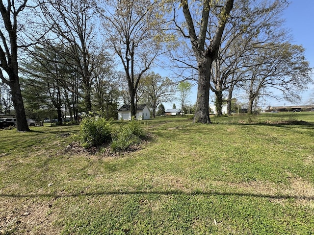 440 Church St, White Bluff, TN 37187 - photo 2