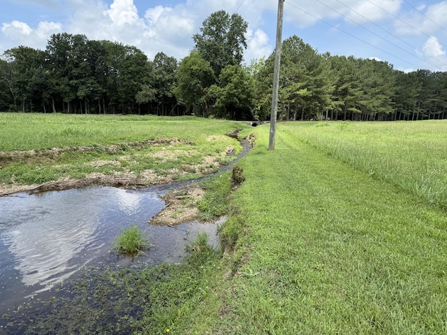 46 Brier Hill Rd, Ethridge, TN 38456 - view of grassy yard with a forest view