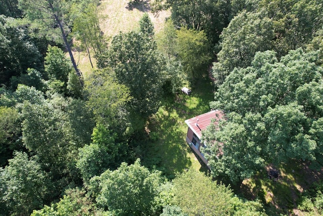 180 Webb Rd, Summertown, TN 38483 - aerial view of property and surrounding area with a heavily wooded area