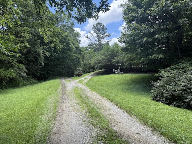 35 Faxon Ln, Big Sandy, TN 38221 - photo 2