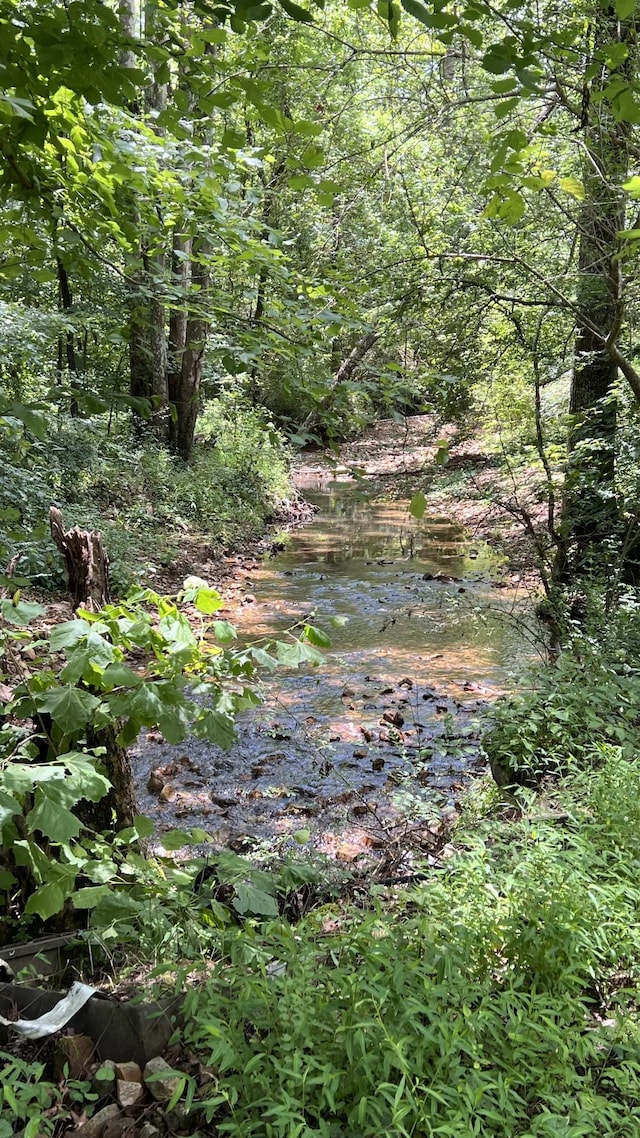 35 Faxon Ln, Big Sandy, TN 38221 - photo 24