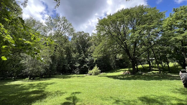 35 Faxon Ln, Big Sandy, TN 38221 - photo 30
