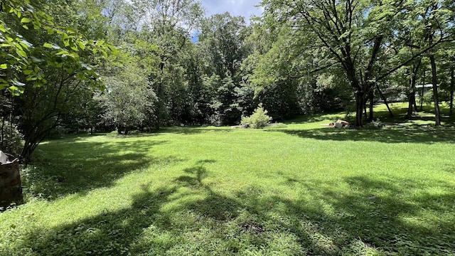 35 Faxon Ln, Big Sandy, TN 38221 - photo 29
