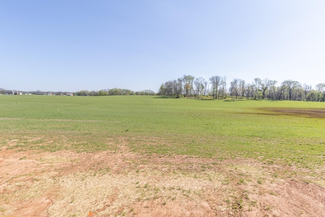 5345 Roy Holman Rd, Springfield, TN 37172 - photo 31