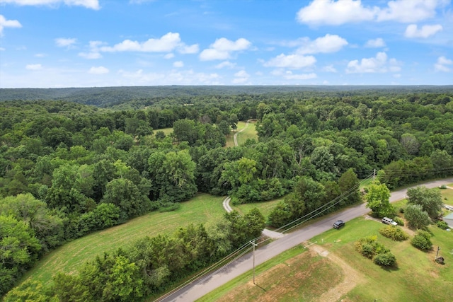 0 Millers Chapel Rd, Charlotte, TN 37036 - photo 4