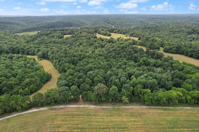 0 Millers Chapel Rd, Charlotte, TN 37036 - photo 3