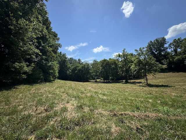0 Millers Chapel Rd, Charlotte, TN 37036 - photo 1