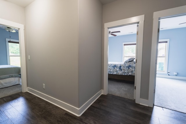 1652 Lantana Dr, Thompsons Station, TN 37179 - hallway featuring dark wood-style floors and plenty of natural light
