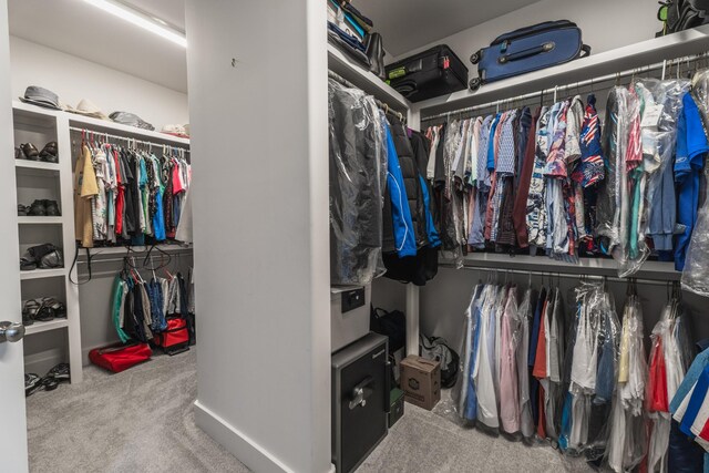 1652 Lantana Dr, Thompsons Station, TN 37179 - spacious closet with carpet flooring