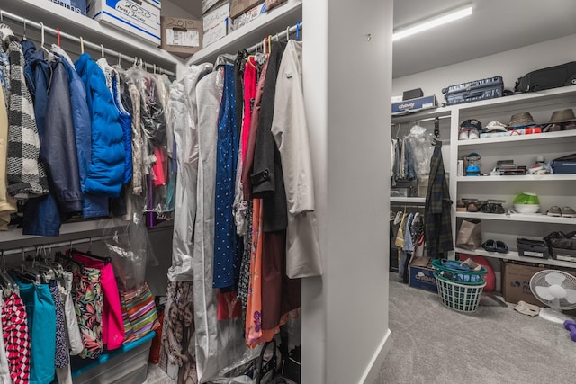 1652 Lantana Dr, Thompsons Station, TN 37179 - spacious closet featuring carpet flooring
