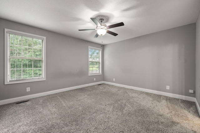 119 Sycamore Hill Dr, Clarksville, TN 37042 - photo 17