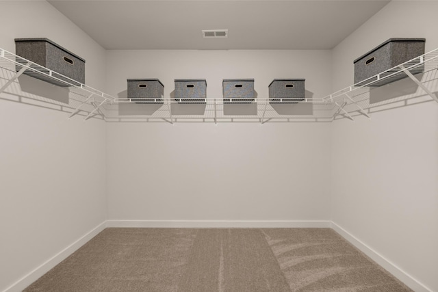 7212 Hanworth St, Fairview, TN 37062 - walk in closet featuring carpet floors