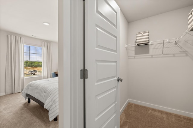 7212 Hanworth St, Fairview, TN 37062 - spacious closet featuring light carpet
