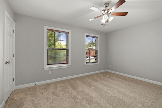 226 Sterling Woods Dr, Mount Juliet, TN 37122 - photo 32