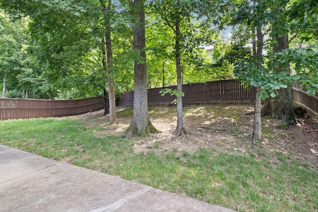 226 Sterling Woods Dr, Mount Juliet, TN 37122 - photo 39