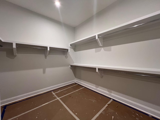 3364 Sarah Bee Ln, Thompsons Station, TN 37179 - view of walk in closet
