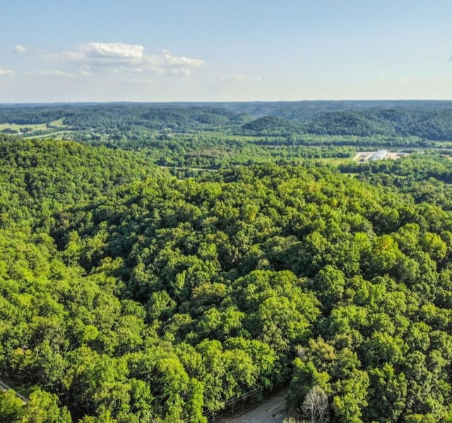 0 Simmons Ct, Ashland City, TN 37015