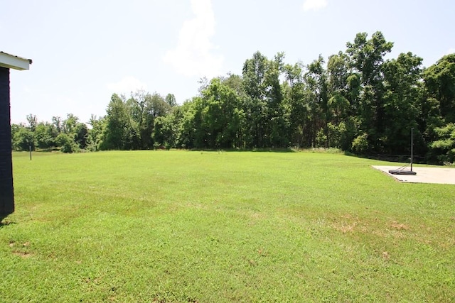 131 Collingwood Rd, Walling, TN 38587 - photo 22
