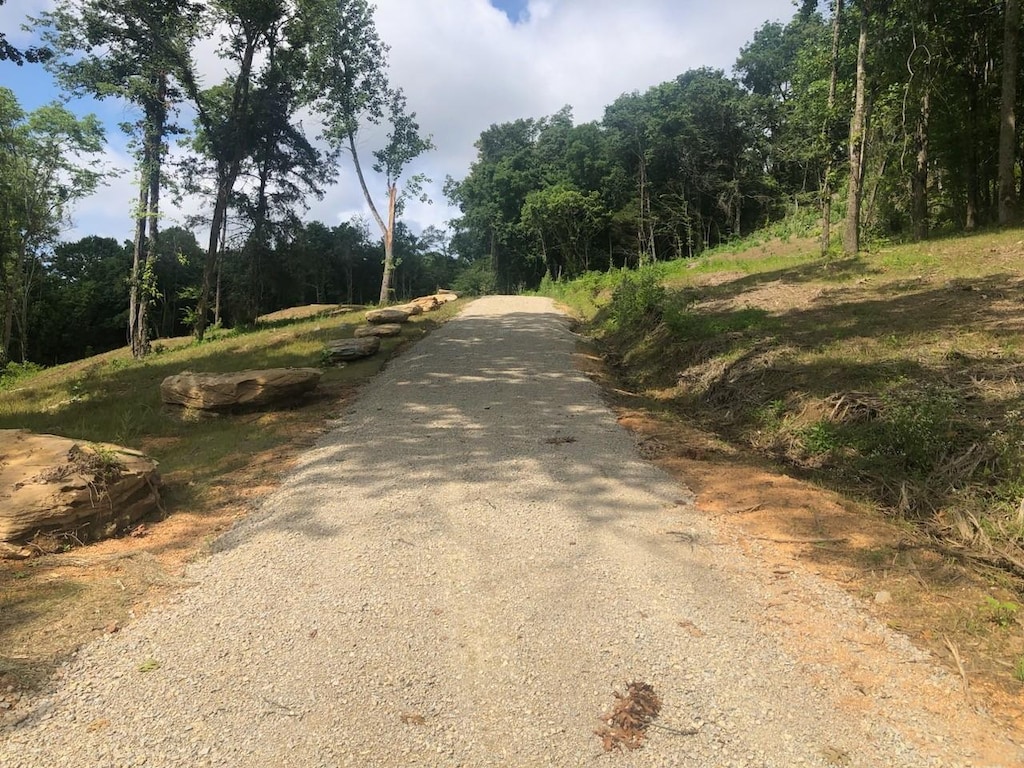 0 Beckum Hollow Rd, Mount Pleasant, TN 38474 - photo 1