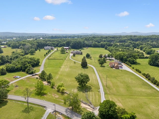 7299 Ruel Mcknight Rd, Milton, TN 37118 - photo 70