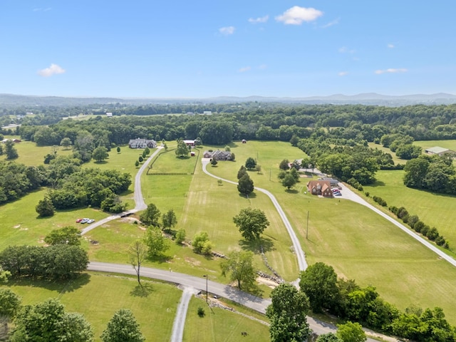 7299 Ruel Mcknight Rd, Milton, TN 37118 - photo 72
